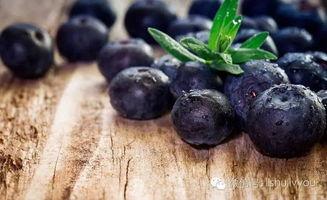 蓝莓被爆料视频真实,揭秘真实种植与采摘过程